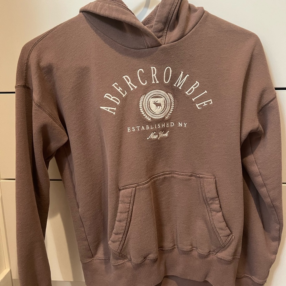 ABERCROMBIE KIDS Embroidered Pullover Hooded Sweatshirt Youth 11/12